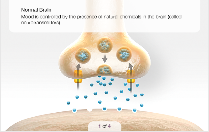 In a healthy brain, mood is controlled by the presence of natural chemicals called neurotransmitters.