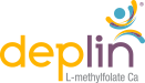Deplin logo